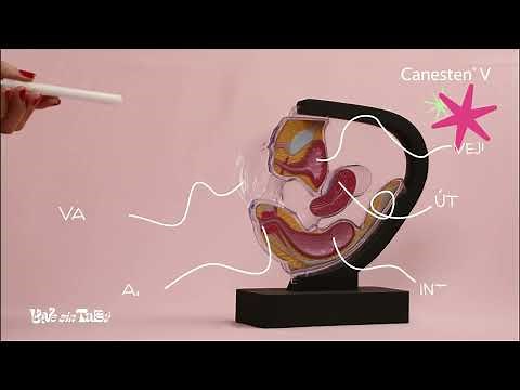 Canesten® V Crema, la mejor opción para aliviar síntomas de candidiasis