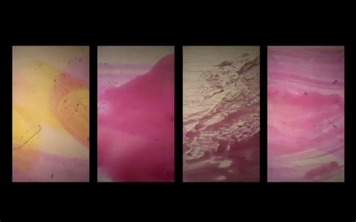 实验电影Experimental film｜胶片直接动画｜Moving Image