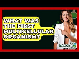 What Was The First Multicellular Organism? - Biology For Everyone