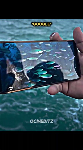 Who has the best camera?