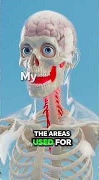 What happens if you stop talking… forever?Let’s break it down.