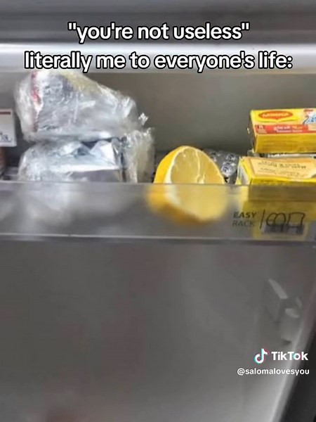 Sal 𖣂 (@salomalovesherself) - How to Preserve Lemons in the Fridge