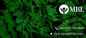 Smart Business Writing - A Box Set - Modular Webinar, MBL Seminars Limited