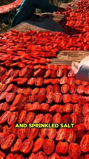 How farmers turn rotting crops into high-profit product. #satisfying #farming #agriculture #shorts