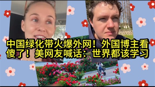 绿化带火爆海外！外国博主看傻了！美网友喊话：世界都该学习