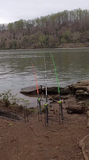 Ain’t Nothing like Catching a Big Fish #fishing #bigfish #fishingfishinglife #fish #reelsfb | Ernest Lee Robinson