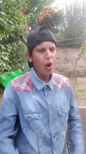 Understanding the Durban Nites and Their Impact