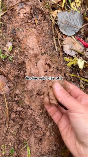 1.5M views · 305 reactions | harvesting and processing wild clay pt 2. i passed it through a 60 mesh sieve and it throws like a dream. i can’t wait to fire… stay tuned!  #pottery #ceramics | Bwpottery | Facebook