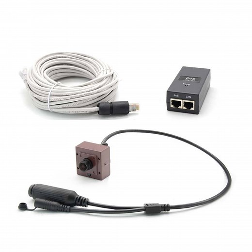 IP Bird Box Camera - Green Backyard