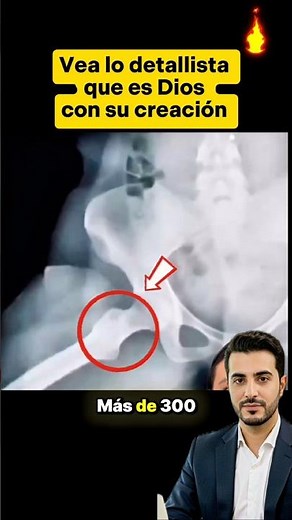 See how meticulous God is with His creation #Christ #HispanicChristians #Jesus #News #Faith