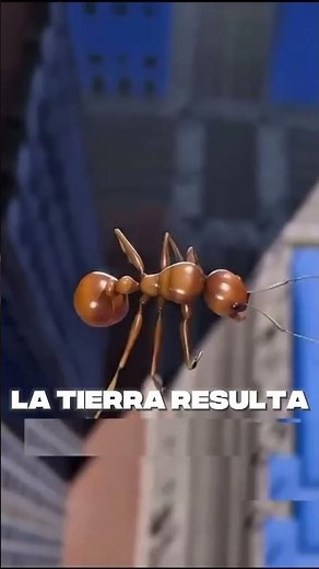 🧠 Ants Know Something… 😉