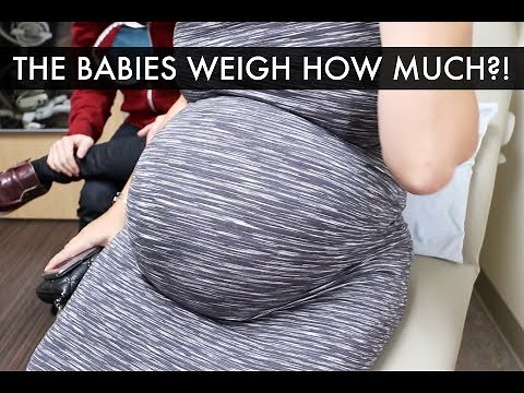 37 Weeks Surrogate Pregnancy Update - Gay Dads & Twin IVF Surrogacy Journey /// McHusbands