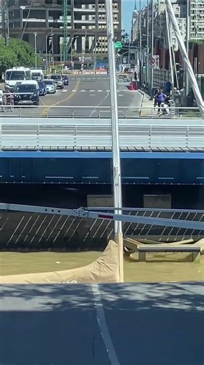 Witnessing Rotating Bridge, Buenos Aires, Argentina, G Adventures from Patricia L. 🇦🇷