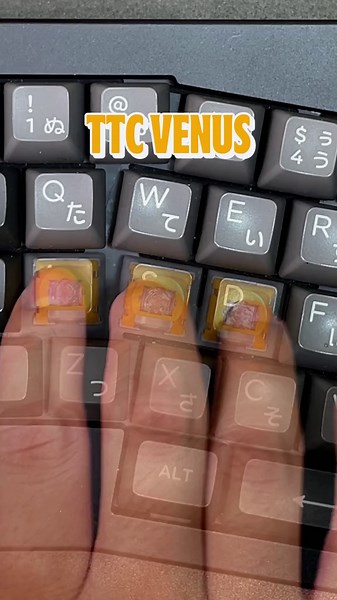 TTC Venus Keyboard Switches for Asmr Enthusiasts