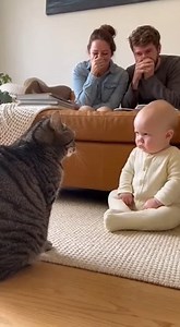 The Cat That Terrified a Baby While Parents Laughed | FurReal