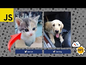 🎬JavaScript Fetch API - Easy Example🙌