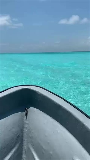 Not only safaris in Tanzania with us, but also excursions on the island of Zanzibar 🏝️ Contact us to get all the information about the most beautiful excursions at the best time☀️🌍🌝 #Zanzibar #Tanzania #Safari #zanzibardestination #zanzibarisland