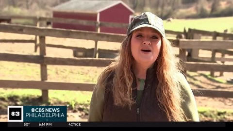 Chester County police officer rescues horse that escaped farm