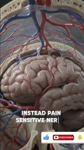 Why Do We Get Headaches?