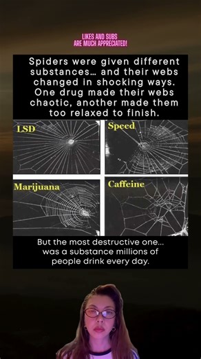 NASA’s Weird Spider Experiment: The Most Damaging Substance