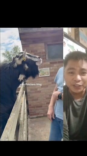 Funny videos🤔😂 #duranvlog #videoclipreels #goodvibes | Duran vlogs