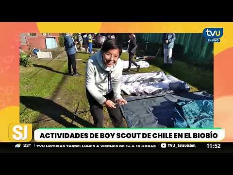 Conoce a los Boy Scout de Chile en el Biobío y las actividades que realizan