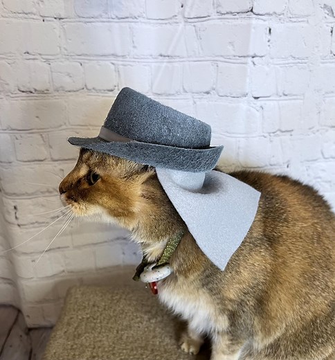 Fedora With Safari Flaps in the Back - for a Cat - Brian's Hat - Cat Hats - Etsy
