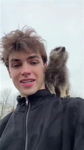 Things Meerkats won’t tell you 🤫 #viralvideo #tranding #youtubeshorts