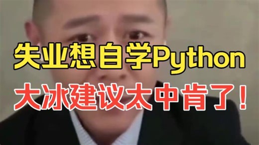 2026年学Python还有出路吗？？大冰给当代普通人的建议：你没资格迷茫，抓紧时间学技术掌握技术！（人工智能/全栈开发）