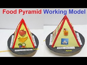 food pyramid working model science project exhibition | biology project | DIY pandit