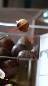 Fresh, creamy, and hand-diced or smashed to perfection 🥑 Enjoy on your burgers, sandwiches, salads, or anything you’re craving! | Farmer Boys