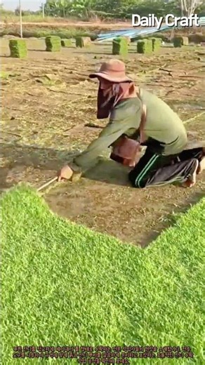 정교한 도구 활용으로 효율성을 높인 잔디 수확 및 작업 절차 #worker #process #tools #machinery #landscaping