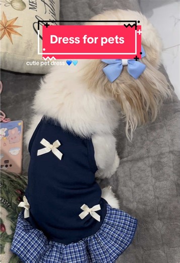 Adorable Pet Dresses for Stylish Dogs