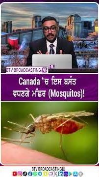 Canada ‘ਚ ਇਸ ਬਸੰਤ ਵਧਣਗੇ ਮੱਛਰ Mosquitos!