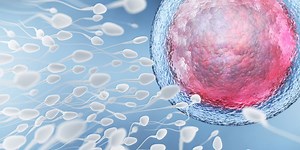 Male birth control options are in development, but a number of barriers still stand in the way