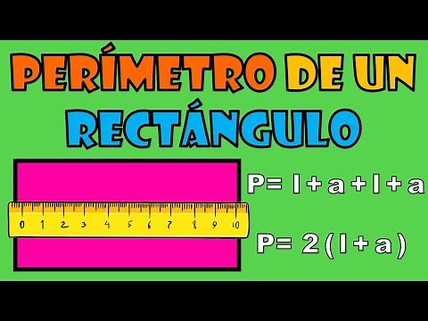 How to calculate the perimeter of a rectangle? | EASY EXPLANATION