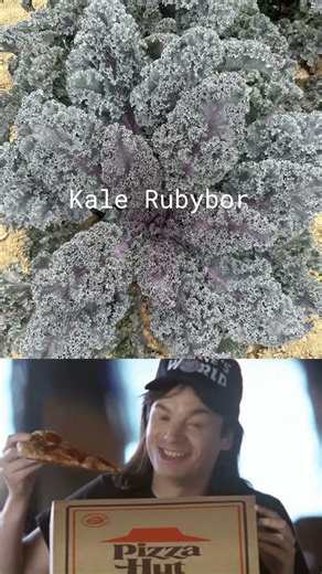 Pizza Hut Was the Biggest Kale Buyer? People are eating Kale again! #garden #aaswinner #gardening