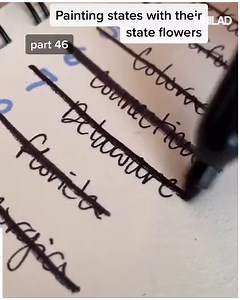 This is what the United States looks like with all 50 States painted as their State flower 👏🌸 | UNILAD