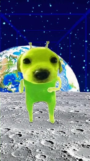 Alien dog no Dance dog Yes
