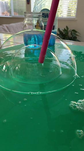 Fun and Simple Preschool Science Experiment with Dawn Dish Soap