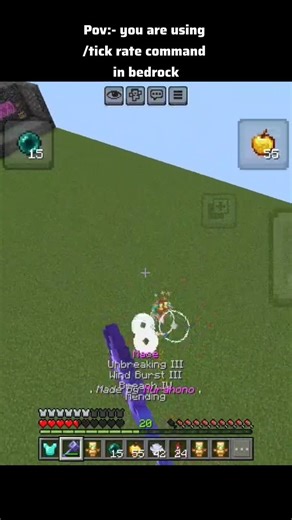 pov :- you are using /tick command in bedrock