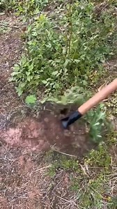 Unelte simple, eficiență uriașă | La cateaua lesinata