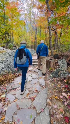 Sugarloaf Mountain in Comus Maryland #fall #hiking #autumn #beautifulday #autumnvibes | Lesley K Rowland Valerio