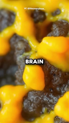 How a Slime Mold Recreated Tokyo's Railway 🚆 | Triveni Talks