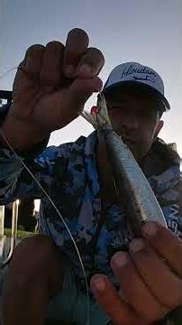 🔥 EPIC Garrick Smash on Pilchard! You Won't Believe This Fight! 🎣