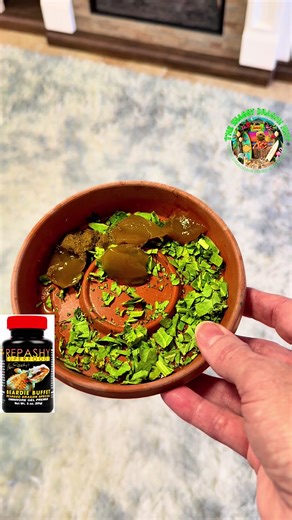 A lot of people ask how to encourage a bearded dragon to eat their greens — especially when they’re being stubborn about it. 🥬🐉 This is what Repashy Beardie Buffet looks like when it’s prepared into a soft, gel-like consistency. We’ll sometimes use a small amount mixed in with greens as an added flavor boost for dragons that are refusing vegetables. It’s not meant to replace fresh greens or insects, and it’s not something we rely on daily — it’s simply one of many tools that can help bridge th