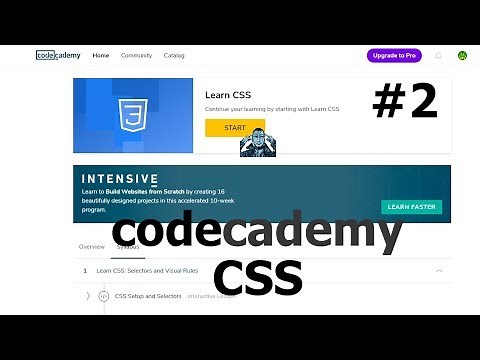 2 - Learn CSS: Visual Rules + The Box Model - Codecademy