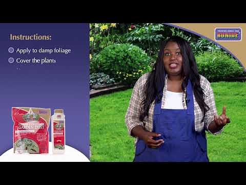 Bonide Captain Jacks Dead Bug Brew DUST