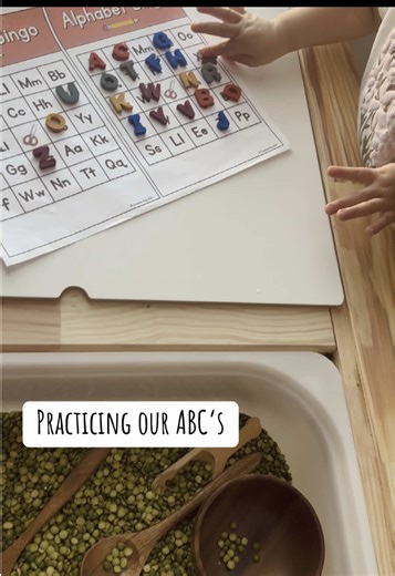 Alphabet Bingo: Fun Learning for Toddlers