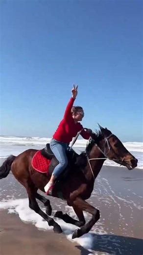 🐎 Ride along the Atlantic breeze!Horse riding on Tamaris Beach, Casablanca📍